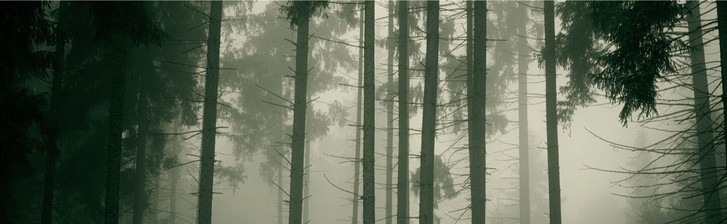 blog header